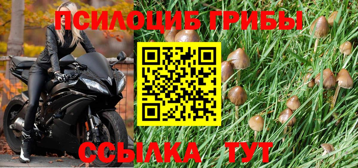 Галлюциногенные грибы MAGIC MUSHROOMS Сегежа