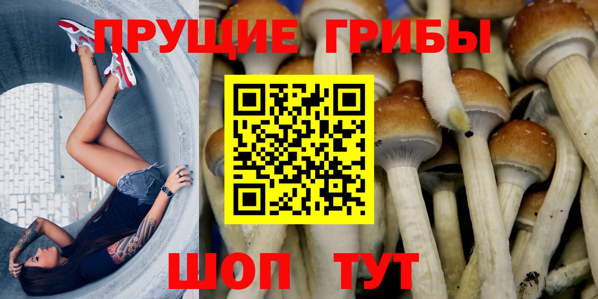 Галлюциногенные грибы ЛСД  Вход с VPN  Сегежа  Галлюциногенные грибы мицелий 